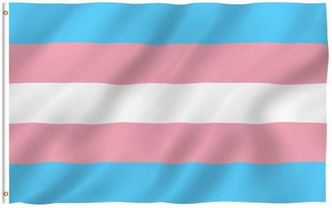 Transgender flag