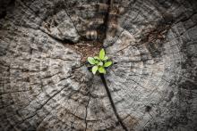 Trauma definition and treatment