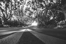 Depression and its causes