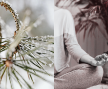 Winter, meditation